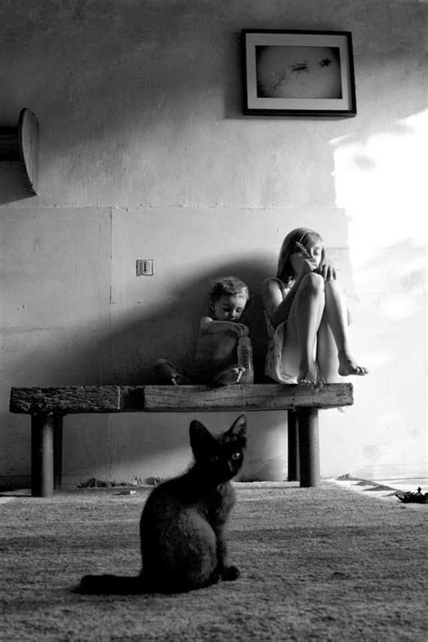 Alain Laboile Kitties And People Pinterest Photography Cat And