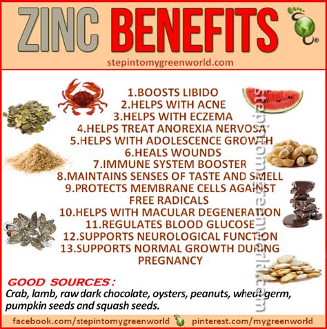 Pin By Lynn Sivaer On Health And Healing~ Body Zinc Benefits Zinc Rich Foods Health