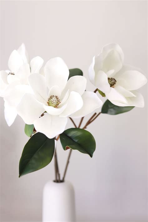 Simple Magnolia Flower Arrangement For Home Decor Magnolia Flower