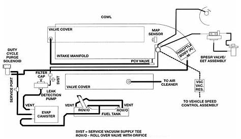 2006 dodge caravan evap system diagram