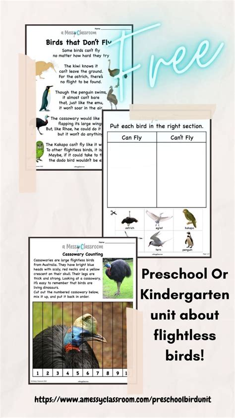 Check Out My Free Lesson On Flightless Birds From Penguins To