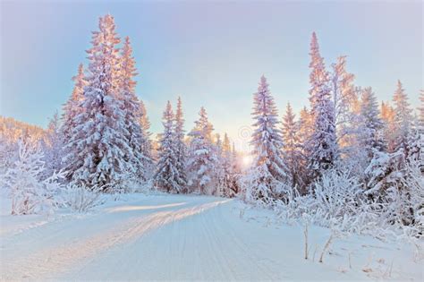 Winter Landscape Stock Photo Image Of Light Cold Landscape 28316948