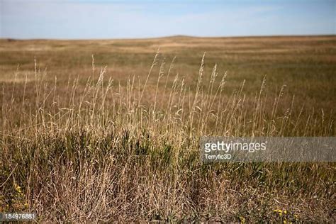 Great Plains Photos And Premium High Res Pictures Getty Images