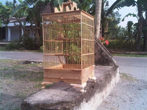 Maybe you would like to learn more about one of these? SANGKAR BURUNG: Sangkar harian dan lomba