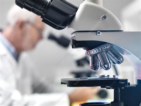 Microscope Laboratory Stock Image F Science Photo Library