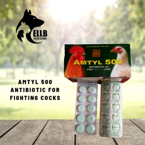 Amtyl 500 Antibiotic For Fighting Cocks Per Box 100 Tablets