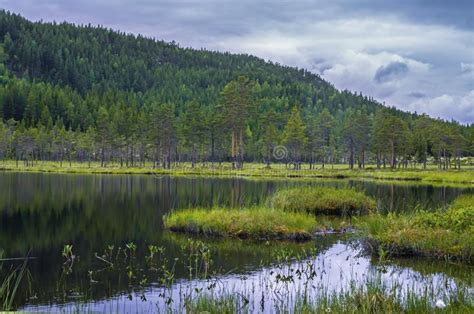 Forest Lake In The Mountains In Norway Hiking Background Stock Image