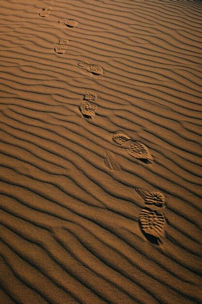 Footstep Desert Images Free Download On Freepik