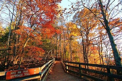 Pin By Janie Hansard On Changing Of The Leaves Blue Ridge Fall