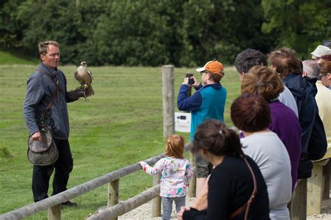 National Centre For Birds Of Prey Day Out With The Kids