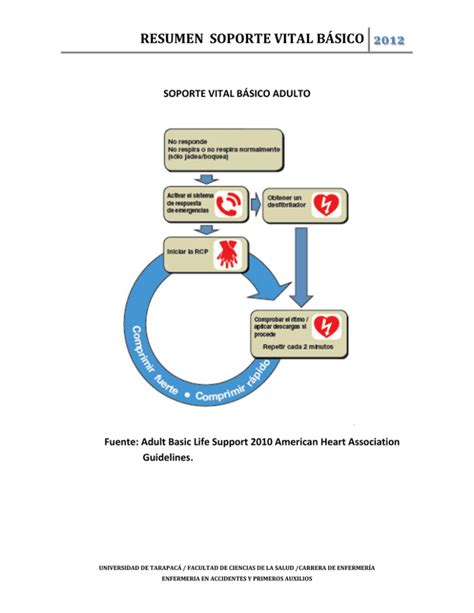 Resumen Soporte Vital Básico