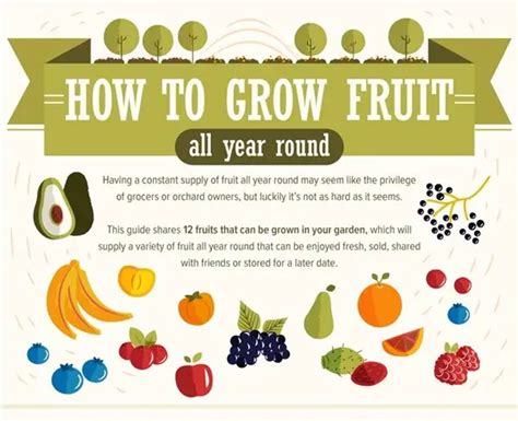 how to grow fruits all year round gardening the homestead survival