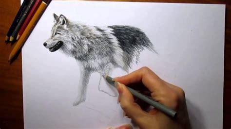 3d Art Drawing On Paper Wolf Walking Youtube