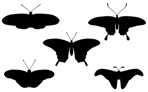 Vector Butterfly Silhouettes Download Free Vector Art Free Vectors