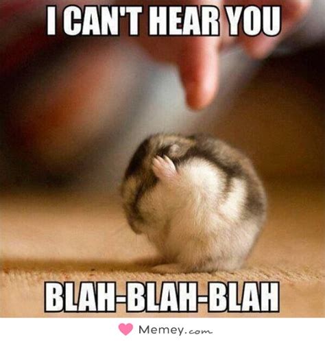 i can t hear you blah blah blah