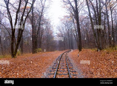 Railroad Single Track Through The Woods In Autumn Fall Landscape Stock