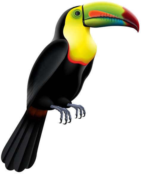 Toucan Bird Png Clip Art Image Gallery Yopriceville High Quality