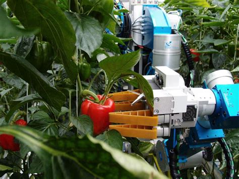Robots Could Help Solve Brexit Labour Shortage On Farms Lords