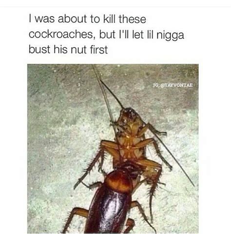The Best Cockroach Memes Memedroid