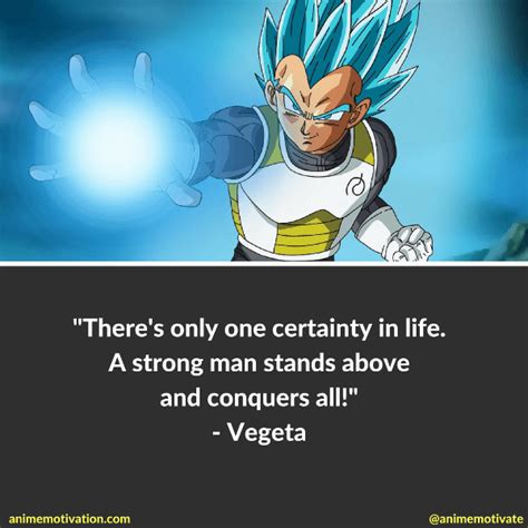What do you think you are doing! Vegeta's Quotes in Dragon Ball Super | Anime dragon ball ...