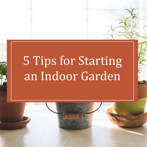 Indoor Garden Tips Hygge Zone