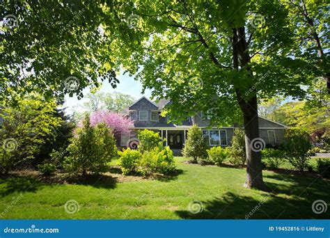 Home Surrounded By Trees Royalty Free Stock Image Image 19452816