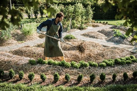Permaculture Une Agriculture Durable