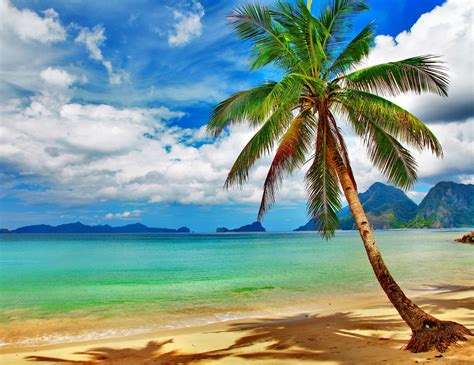 Beach Scenes For Desktop Background Carrotapp