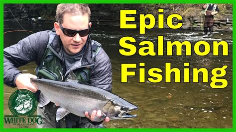 Salmon River Ny Epic Run 2017 Fly Fishing For Biting Salmon Youtube