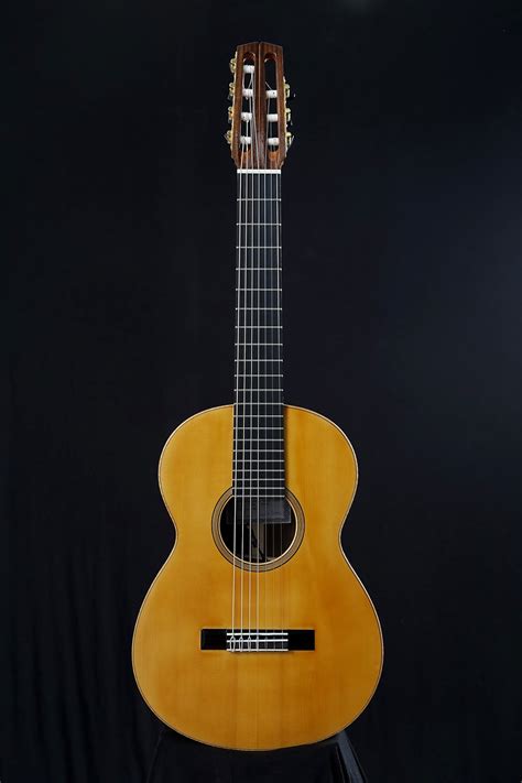 Per questo motivo noi, in accordo con le opinioni degli esperti, te le. Liutai a Torino: Chitarra Classica a sette corde ...