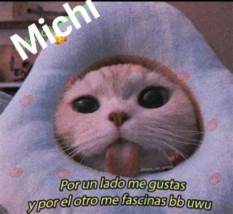 Pin De Uwu 0909 En Frases De Michis Uwu Frases Kawaii Meme Gato