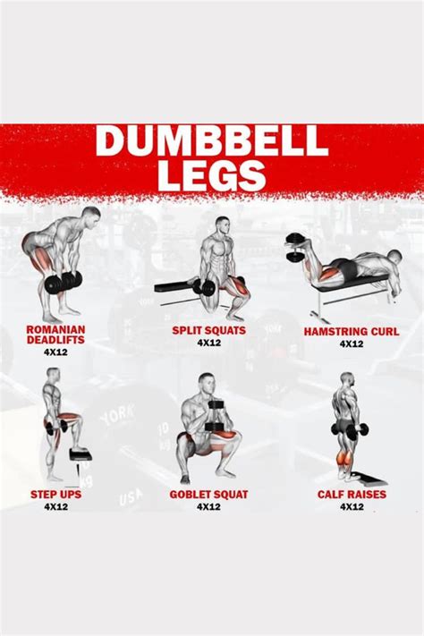 Dumbbell Legs Workout Dumbbell Leg Workout Full Body Dumbbell