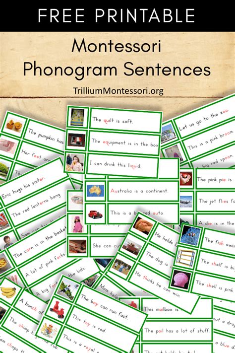 Free Montessori Printable Phonogram Sentences Montessori Lessons