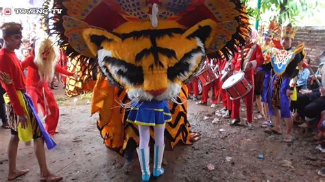 Mayoret Dimakan Barongan Surojoyo Di Kalipucang Jepara YouTube