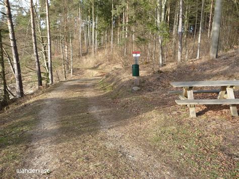 Das bewaldete ufer ist ideal zum wandern und spazieren gehen. Stausee Ottenstein
