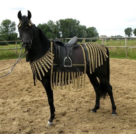 30 Best Images About Medieval Horse Costume On Pinterest Cloaks