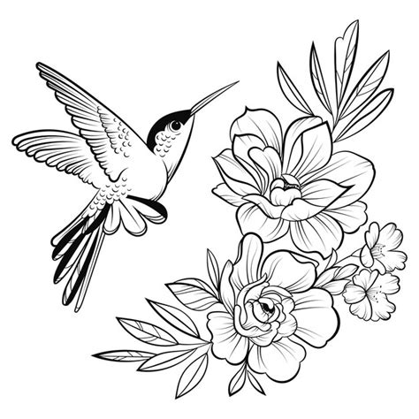 Illustration Of A Hummingbird Stylized Flying Bird Linear Art