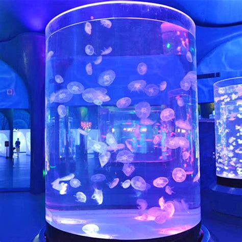Custom Acrylic Marine Jellyfish Tank Aquariums And Accessories Glass Eco