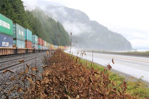 Cn Rail Nets Second Fine Over Spraying Pesticides On Tracks Near B C River