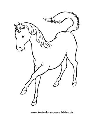 Pferde sind eines der ersten von menschen gezähmten tiere. Ausmalbild Pferd 3 zum Ausdrucken