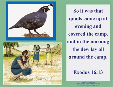 Bible Fun For Kids Moses Manna And Quail To Eat