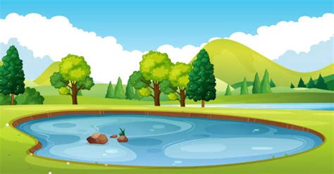 Pond Illustrations Royalty Free Vector Graphics And Clip Art Istock
