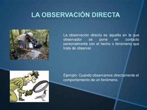 La Observación Y Su Clasificación