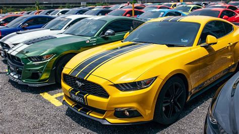 Ford mustang 2.3 loan kedai sambung bayar & continue loan. Mustang Club Malaysia sets largest Ford Mustang gathering ...