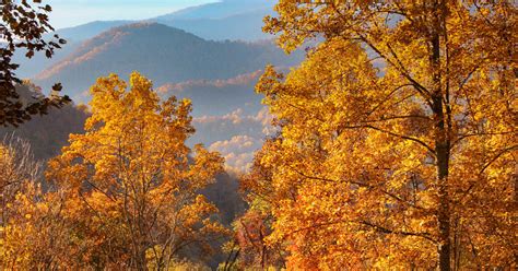 Fall Foliage 2018 Forecast And Guide Blue Ridge Mountain Life