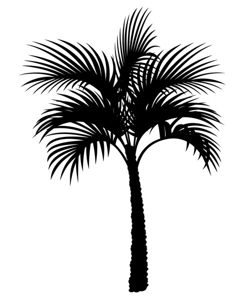 Palm Tree Silhouette Clipart Free Stock Photo Public Domain Pictures