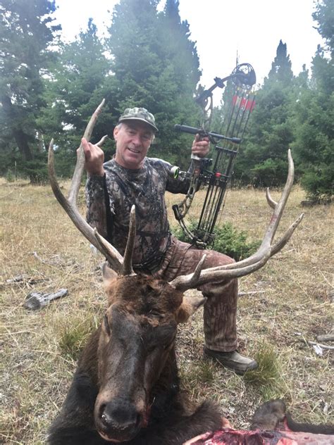 Missoula Hunter Bags Bull Elk Montana Hunting And