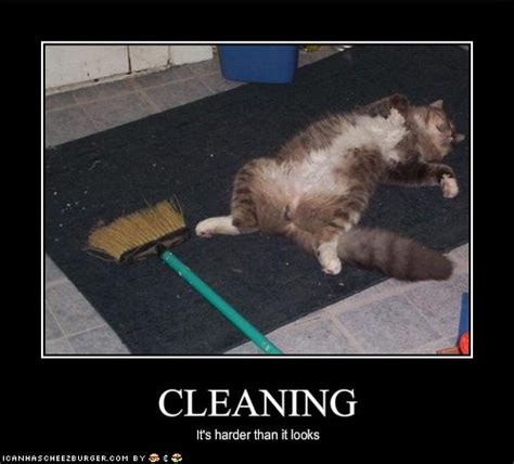 Funny Clean Photos ~ Funny Images And Jokes