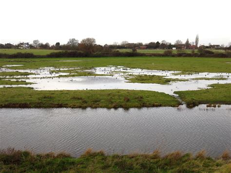 Mersea Wildlife Flooded Fields