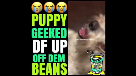 Puppy Geeked Off Them Beans This Is Foul 😟😟 Youtube